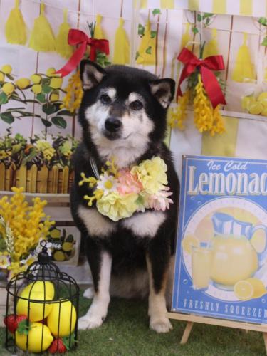 20240411ひめちゃん